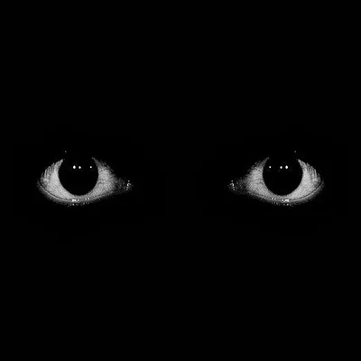 Черные глаза с белыми зрачками - 73 фото