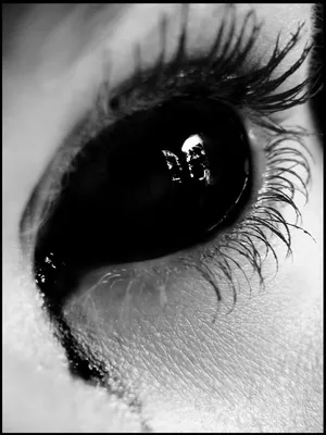 Черные Глаза Блеск Макияж С Широкими Arrow — стоковые фотографии и другие  картинки Глаз - Глаз, Стрела, Макияж - iStock