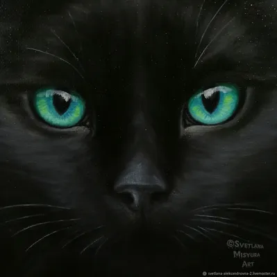 Картины: Чёрная кошка с зелёными глазами в интернет-магазине Ярмарка  Мастеров по цене 5000 ₽ – O7TS4BY | Картины, Ставрополь - доставка по России