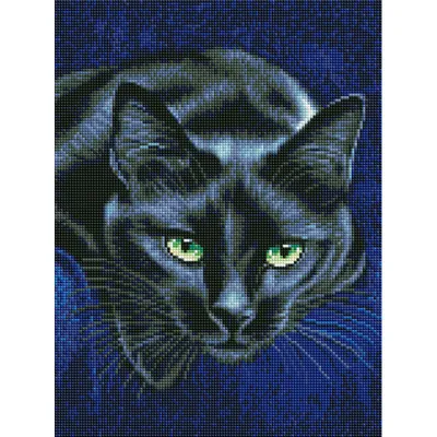 Симпатичные Черные Кошки Лицо С Зелеными Глазами — стоковая векторная  графика и другие изображения на тему Изолированный предмет - Изолированный  предмет, Большой, Глаз - iStock