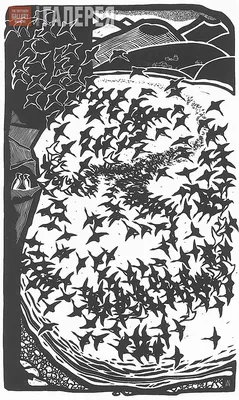Черные птицы | Пикабу