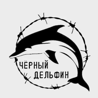 ЧЁРНЫЙ ДЕЛЬФИН - Самая суровая тюрьма России - YouTube