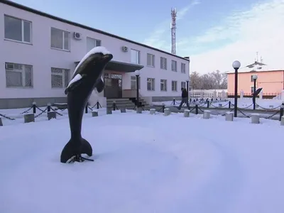 Что внутри \"Чёрного дельфина\" — российской тюрьмы, из которой ещё никто не  сбегал - Tchk.lv