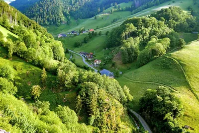 🏛️ Schwarzwald: таинственный и чарующий мир братьев Гримм | Smapse