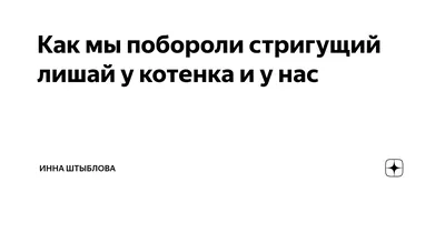 У котёнка чёрный лишай на лбу и около ноздрей, бесплатная консультация  ветеринара - вопрос задан пользователем xvcay Ионов про питомца: кошка Без  породы (домашняя кошка)