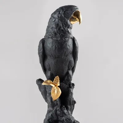 Попугай черный» — создано в Шедевруме