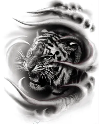 Тигр В Воде Черный - Бесплатное фото на Pixabay - Pixabay