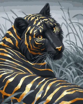 черный фон показывающий лицо изображения тигров, картина тигр фон картинки  и Фото для бесплатной загрузки
