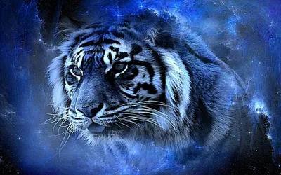 Футболка с изображением тигра, 100% хлопок, Воющий тигр, черный тигр,  Howlin, тигр, крутой тигр, группа тигр, одинокий тигр, тигр, волк, тигр |  AliExpress
