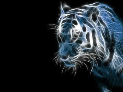 Что ждет жителей Бурятии в год Черного Водяного тигра - Общество - Новая  Бурятия