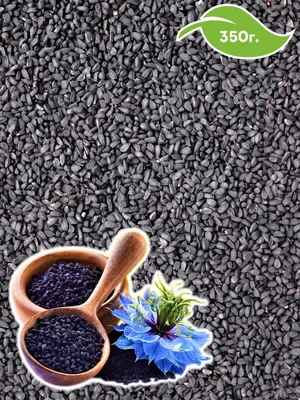 Тмин черный , семена 50гр ЛекраСЭТ (Nigella sativa) купить 2,50 € c  доставкой по всей Европе на сайте Vitateka.ee