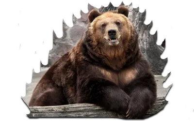 Чертог медведя купить в Москве.