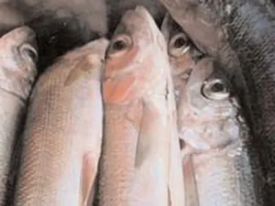 В суши и в океане растет число паразитов. Чем опасны анизакиды для рыбы и  людей?