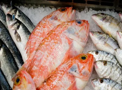 Рыбу с червями продавали на прилавках Петропавловска — Новости Шымкента