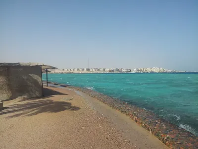 Какое море в Египте ⛱️ в Шарм-эль-Шейхе, Хургаде, Александрии