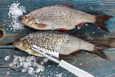 Обязательно ли чистить рыбу от чешуи? | fish2o | производитель премиум  лосося | Дзен