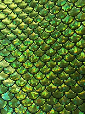 чешуя рыбы: 5 тыс изображений найдено в Яндекс.Картинках | Green aesthetic,  Orange aesthetic, Green wallpaper