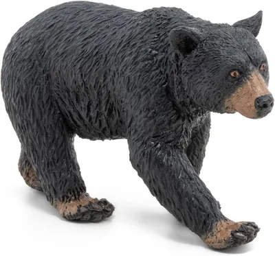 Фотографии черного медведя Черный медведь Представление профиля закрытия  черного медведя с бокех фон Стоковое Фото - изображение насчитывающей  конец, среда: 165652510