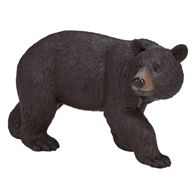 Американский черный медведь, или Барибал 10 см Ursus americanus — фигурка  игрушка дикого животного Papo 50271 — купить в интернет-магазине Новая  Фантазия