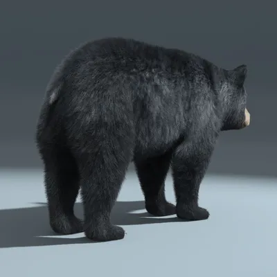 Файл STL Черный медведь 🐉・3D-печать дизайна для загрузки・Cults
