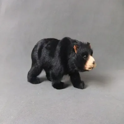 Чёрный медведь спас американского ребенка, который потерялся в лесу