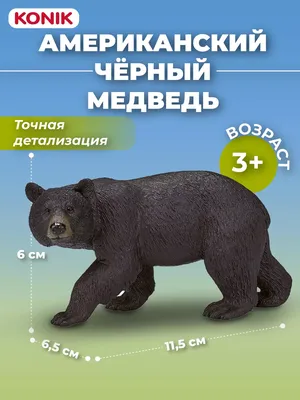 Черный медведь купить в Санкт-Петербурге от производителя Supera Luxemebel