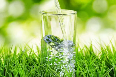 Чистая питьевая вода в стакане на фоне природы. Концепция здорового образа  жизни Стоковое Изображение - изображение насчитывающей завалка,  диетпитание: 186031239