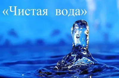 Вино, яйцо и чистая вода. 5 фактов об осмосе