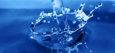 Чистая вода» — создано в Шедевруме