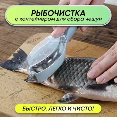 Рыбочистка с контейнером для чешуи, нож для чистки рыбы , скребок чистилка  для рыбы, нож для чистки овощей и фруктов - купить с доставкой по выгодным  ценам в интернет-магазине OZON (632072481)