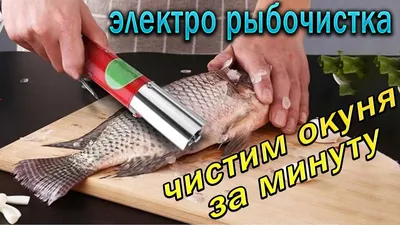 Fish Scraper with AliExpress - Fast fish cleaning, detailed review !!! -  YouTube