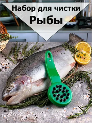 Рыбоглаз Рыбочистка. Нож для чистки рыбы от чешуи. чистилка для рыбы