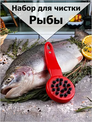 Рыбочистка. Нож для чистки рыбы от чешуи. чистилка для рыбы Рыбоглаз  10355012 купить в интернет-магазине Wildberries