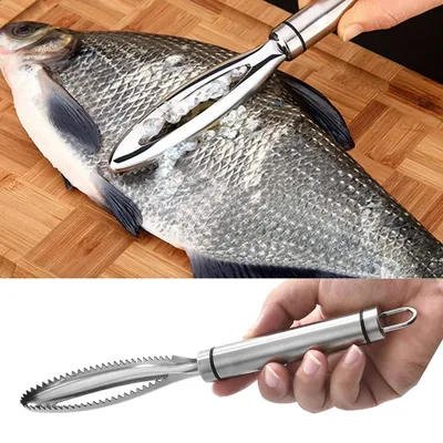Эффективная рыболовная чешуя, инструмент из нержавеющей стали для очистки  рыбы, щетка для рыбной чешуи, щипцы для рыбы, пинцет, рыболовные  инструменты | AliExpress