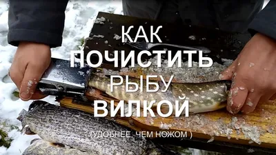 Купить Hi, терки для очистки рыбной чешуи, быстрое удаление, чистка рыбы,  овощечистка, скребок, пинцет для рыбных костей, Hi | Joom