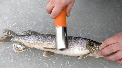 Чистилка для рыбы - YouTube