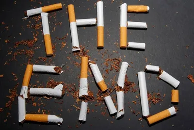 Курить или не курить – вот в чем вопрос (4 фото) » Триникси