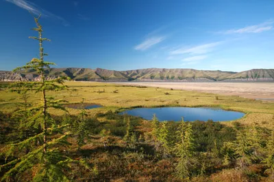 Дельта реки авача на камчатке | Премиум Фото