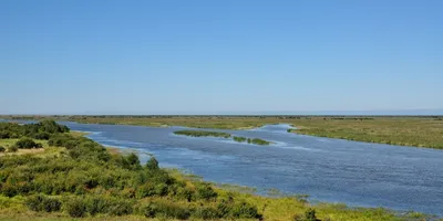 Дельта Жемчужной реки — Википедия