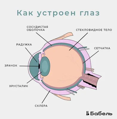 Как связаны между собой катаракта и астигматизм? - Центр Хирургии Глаза