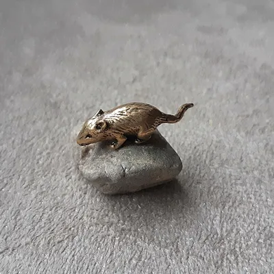 Кошельковые талисманы (Purse charms) - Кошельковая мышь на монете