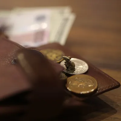Оберег Кошельковая Мышь-5 Хранительница на монетке из янтаря Янтарь Балтики  - купить с доставкой по выгодным ценам в интернет-магазине OZON (972242971)