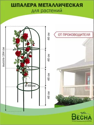 Пергола (шпалера) купить в интернет-магазине Ярмарка Мастеров по цене 9000  ₽ – H5DNPRU | Арки садовые, Раменское - доставка по России