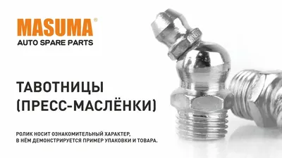 MASUMA MY-006, Тавотница Masuma — бренд автозапчастей №1 в России