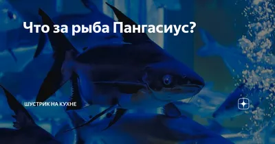 Тушка пангасиуса без головы ~ 700-800 г в шт купить в Москве с доставкой на  дом по цене 280 руб Интернет-магазин Fish Premium