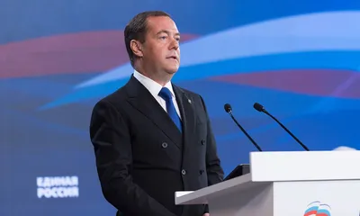 Несмотря на мошку\": Дмитрий Медведев назвал две причины для туризма в  Волгоград