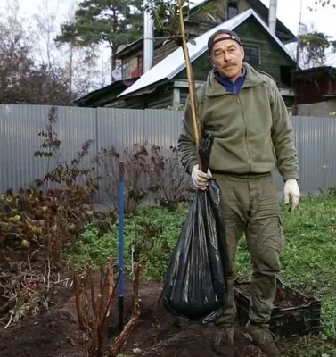 Гарден Зоо - товары для сада и огорода, загородного дома и дачи 2023 -  Советы для дачников