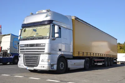 Купить тягач DAF XF 105 460 Польша Wola Filipowska, UD33399