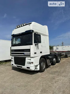DAF XF 95 95 xf | Container truck - TrucksNL