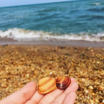 Лучшие пляжи Дагестана: от Махачкалы до Дербента🌊